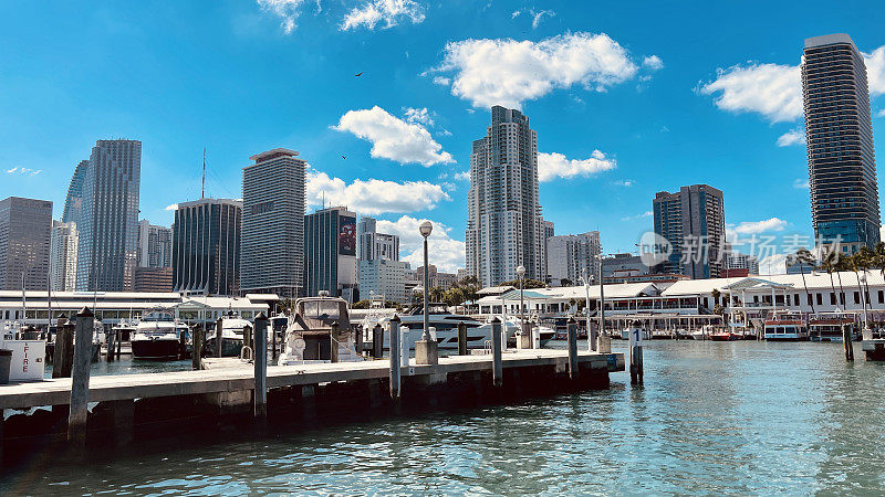 迈阿密市中心天际线全景照片/港口从海湾看在一个阳光灿烂的日子与豪华船